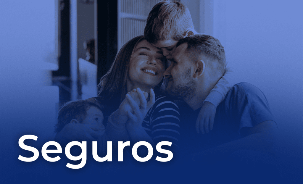 Seguros (3)