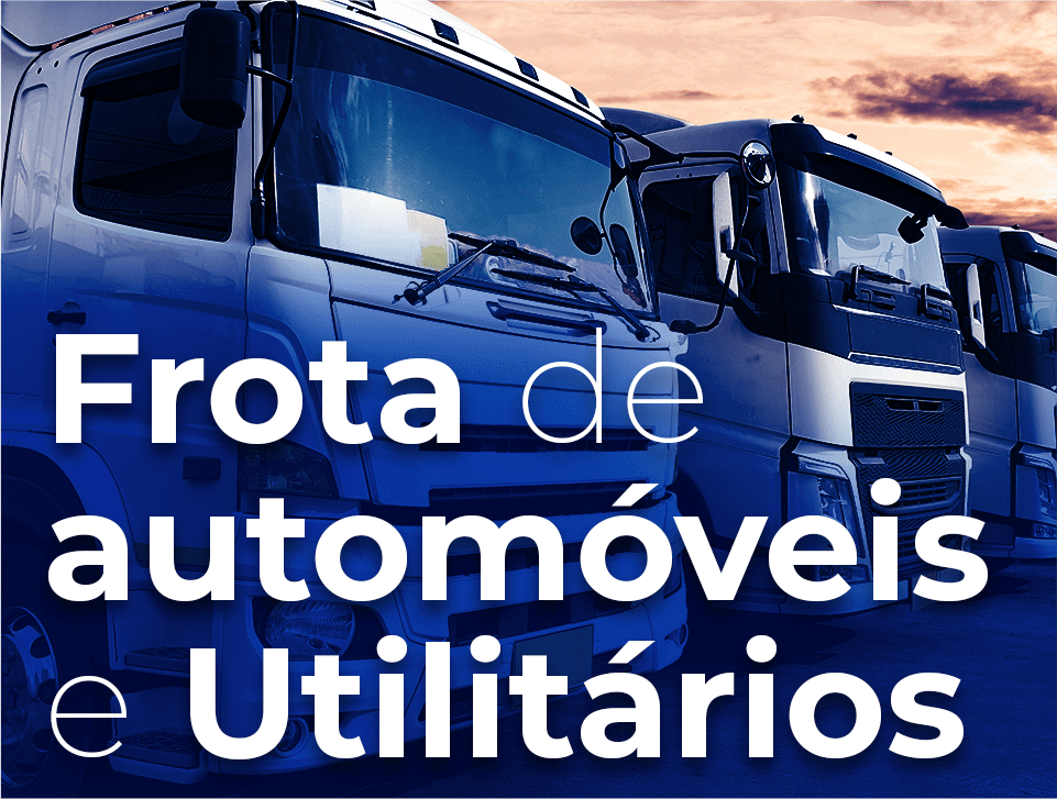 Frota de automóveis e Utilitários (2)