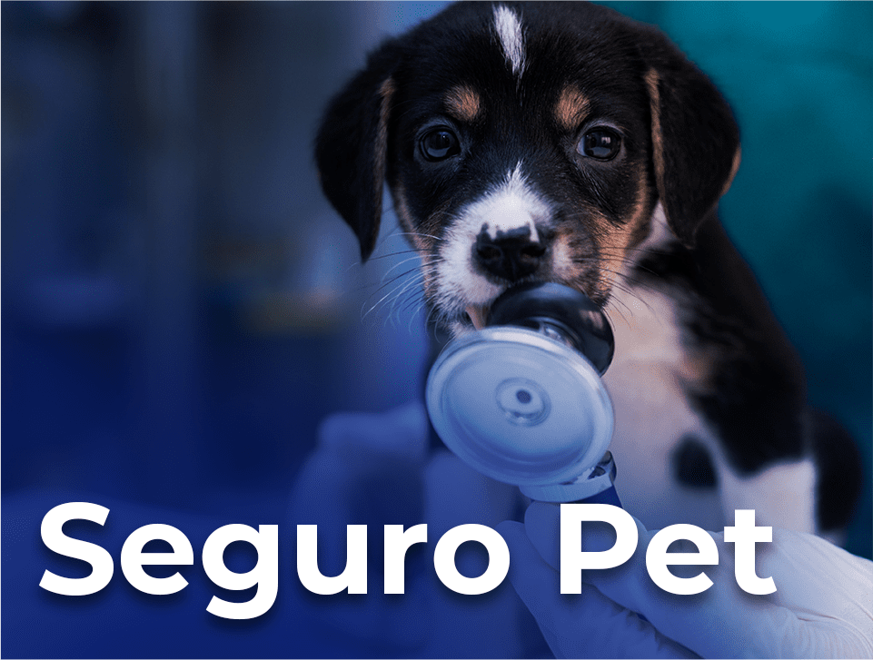 Seguro Pet (3)